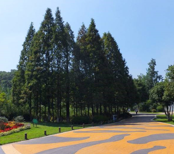 紅山森林動(dòng)物園環(huán)境綜合整治一期工程